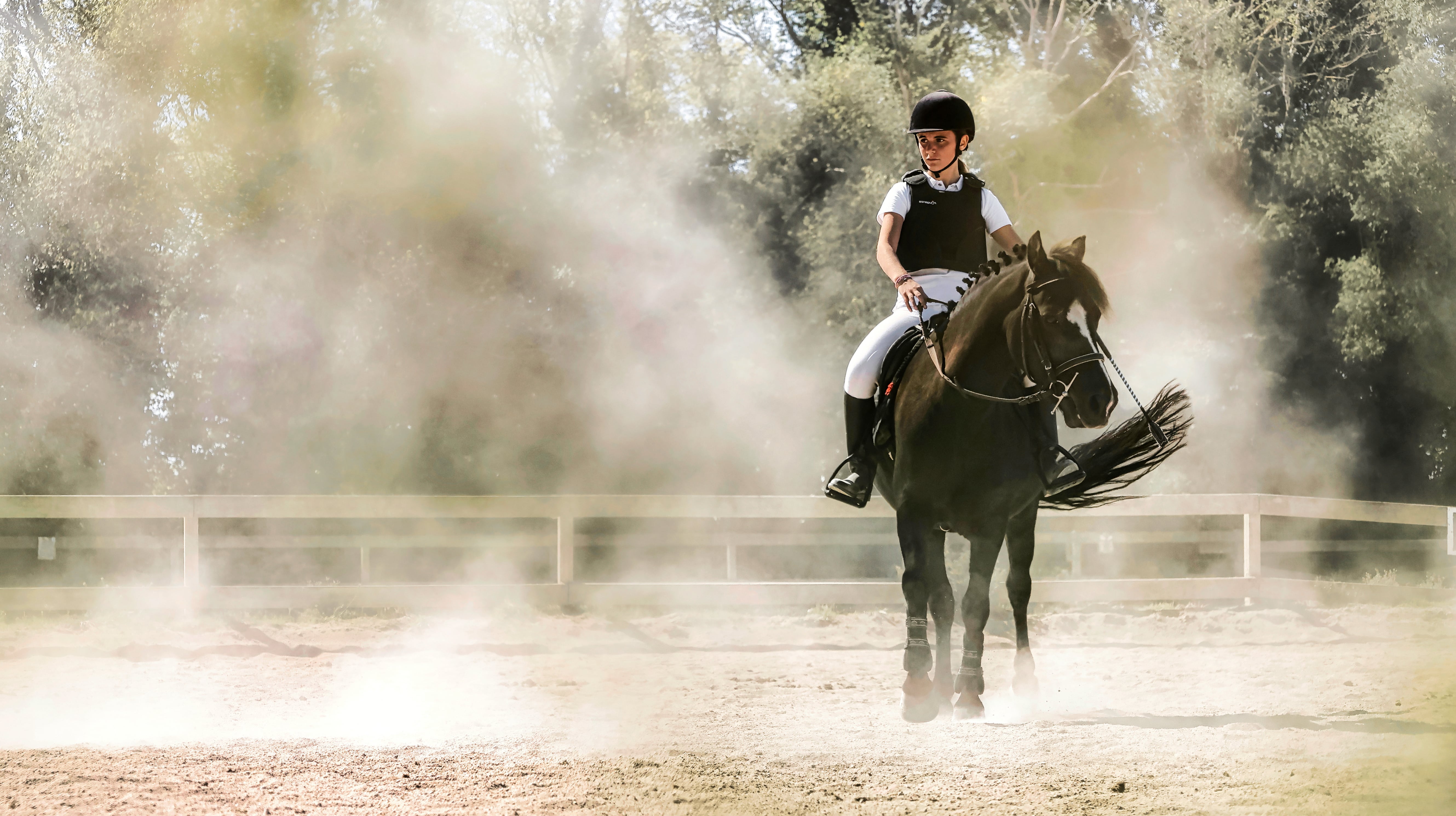 Formation Enseignant Animateur d’Équitation