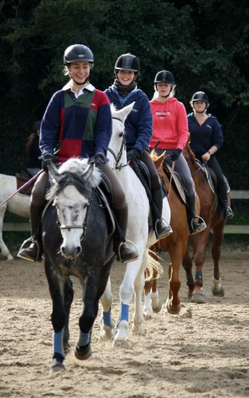 Formation pour devenir enseignant animateur équitation