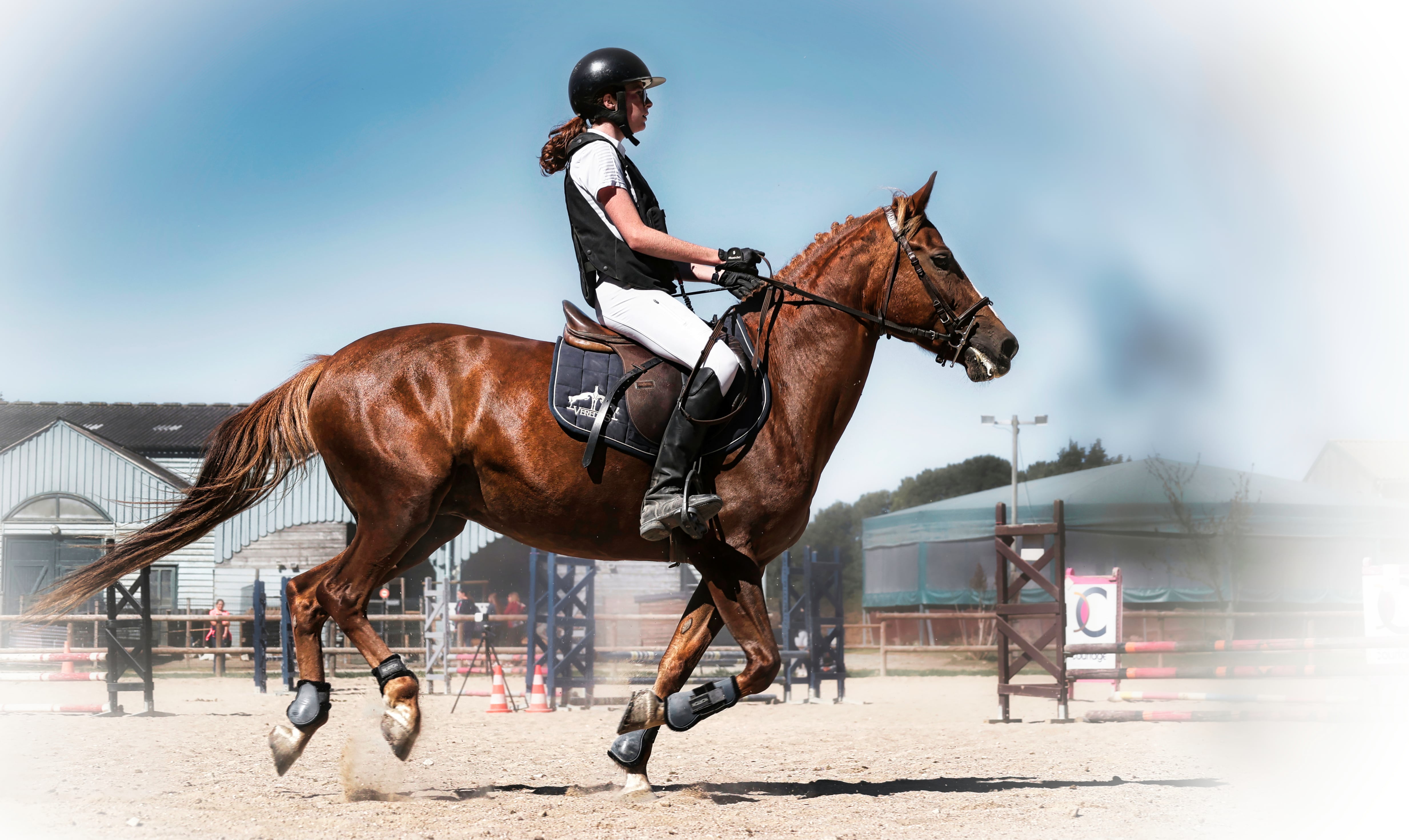 Centre de formation enseignement équitation à Larmor-Plage