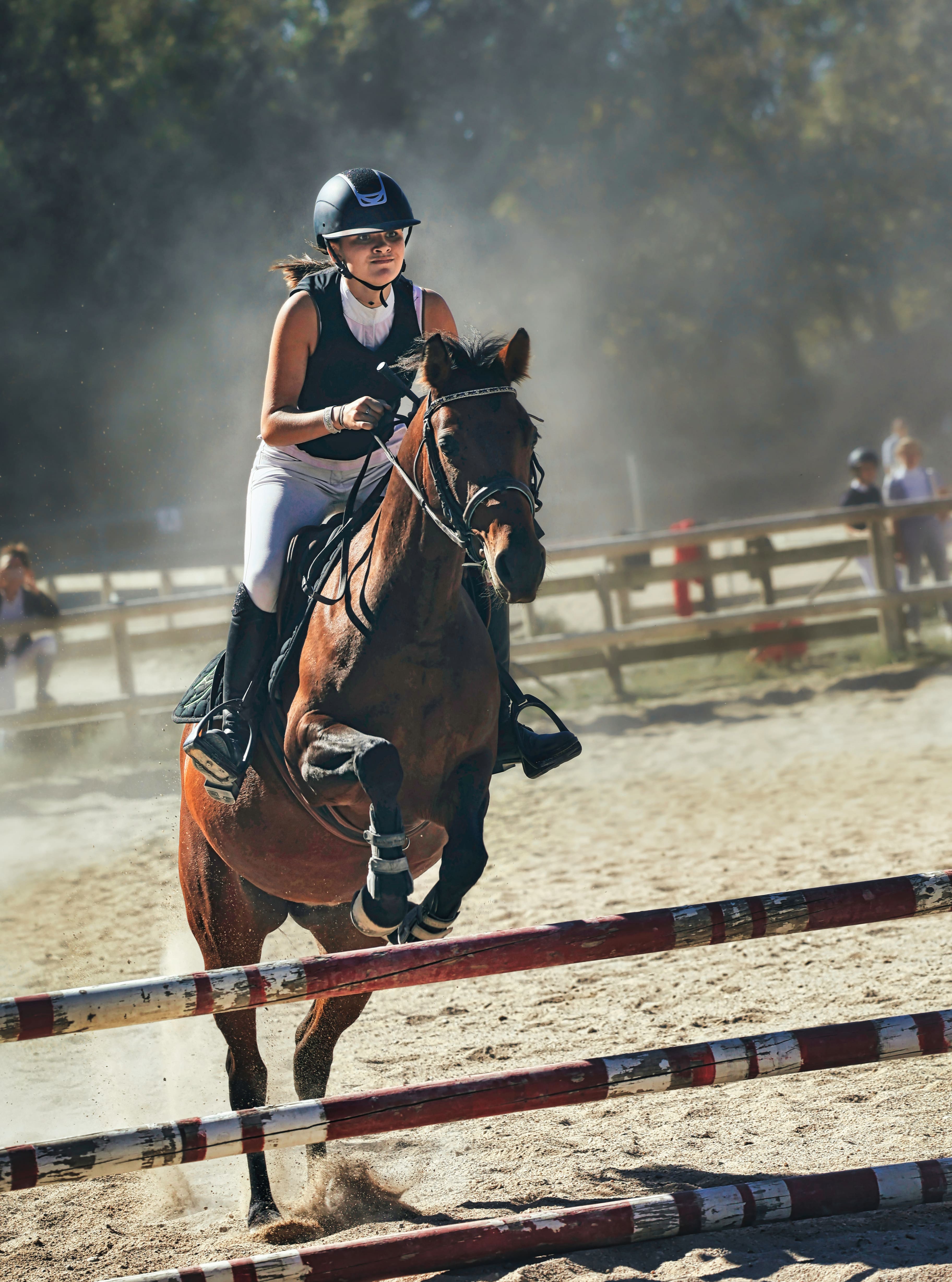 Formation à l'enseignement de l'équitation à Kerguelen Équitation